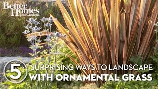 5 Surprising Ways to Landscape with Ornamental Grass [upl. by Ardnoet]