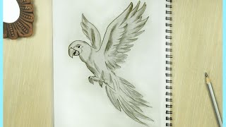 Parrot Drawing  How to Draw a Parrot  Flying Bird Sketch Parrot Drawing Easy [upl. by Nnylirej]