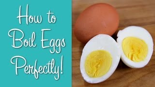 How To Boil Eggs  Perfect Hard Boiled Eggs  Hilah Cooking [upl. by Araet]