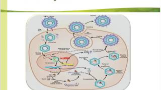 Quantitative HBsAg and its Role in Chronic Hepatitis B Patient Management [upl. by Wera770]