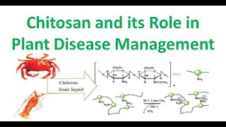 Chitosan and its Role in Plant Disease Management [upl. by Losyram]