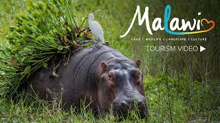 Visit Malawi [upl. by Lamar80]