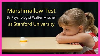 Marshmallow Test  Walter Mischel  Stanford University  Instant Gratification [upl. by Yragerg383]