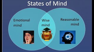 DBT  Mindfulness  3 States of Mind [upl. by Uol798]