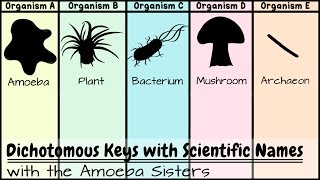 Dichotomous Keys Identification Achievement Unlocked [upl. by Osy]