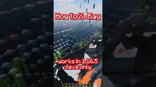 How to XRAY in Minecraft Without cheats [upl. by Jacquelin991]