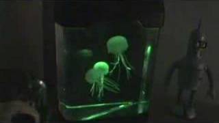 LED Jellyfish Mood Lamp [upl. by Khosrow900]