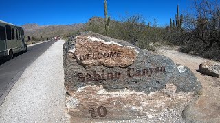 Sabino Canyon  Tucson AZ [upl. by Ellekim]