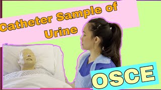 Catheter Sample of Urine CSU OSCE 2021 [upl. by Phedra]