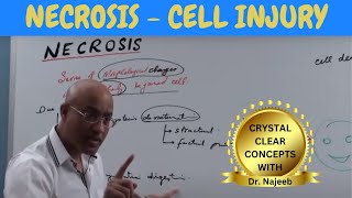 Neoplasia  Part 2   Molecular Basis of Cancer HD [upl. by Nymrak]