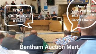 Bentham Auction Mart [upl. by Anekahs]