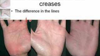 Palmistry amp Palm Reading Secrets [upl. by Dusen]