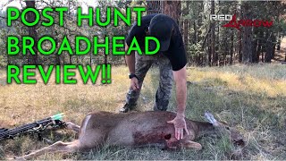 G5 Megameat Post Hunt Broadhead Review [upl. by Hairabez]