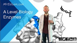 Enzymes Part 2  Inhibition  A Level Biology [upl. by Idnic]