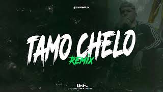 TAMO CHELO  Remix  âœ˜ El Noba âš¡ LOCURA MIX [upl. by Einama]