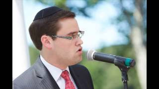 Aaron Tessler sings Sheva Brachot [upl. by Hurst726]