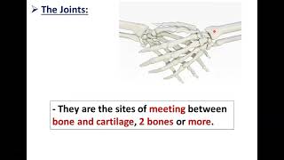 Anatomy of Joints  Dr Ahmed Farid [upl. by Freda284]