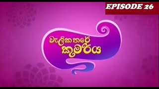 Wali kathare kumariya episode 26 sinhala cartoon  Final Episode [upl. by Ellirpa]