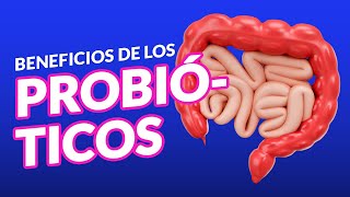 Los beneficios de los Probióticos [upl. by Ahsek]