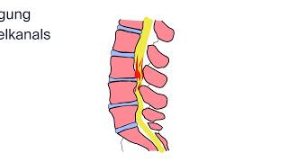 Behandlung einer Spinalkanalstenose by ATOS Kliniken [upl. by Aymahs750]