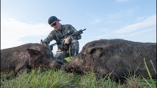 Hunting HUGE Feral Hogs on Farm Land [upl. by Windy261]