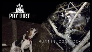 How To Hunting Coons with Dogs [upl. by Eeralav]