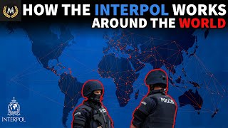 What Is The INTERPOL [upl. by Lentha150]