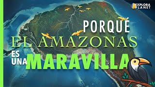 Porque es Importante El Amazonas [upl. by Eward]