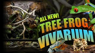 How To Setup A Bioactive Tree Frog Terrarium Exo Terra Tree Frog Terrarium [upl. by Bil]