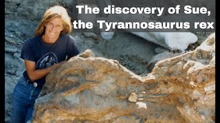 12th August 1990 Sue the Tyrannosaurus rex discovered by Susan Hendrickson [upl. by Eanore]