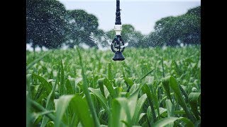 Senningers iWob Sprinkler Guide  Everything You Need to Know [upl. by Esilenna]