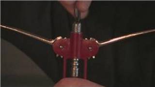 Wine Advice  How to Open Wine With a Lever Opener [upl. by Paske]