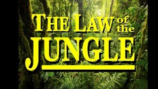 The Jungle Book  The Law of the Jungle [upl. by Carlota147]